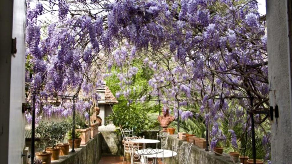 Locanda Sant' Agostino Lucca Luaran gambar